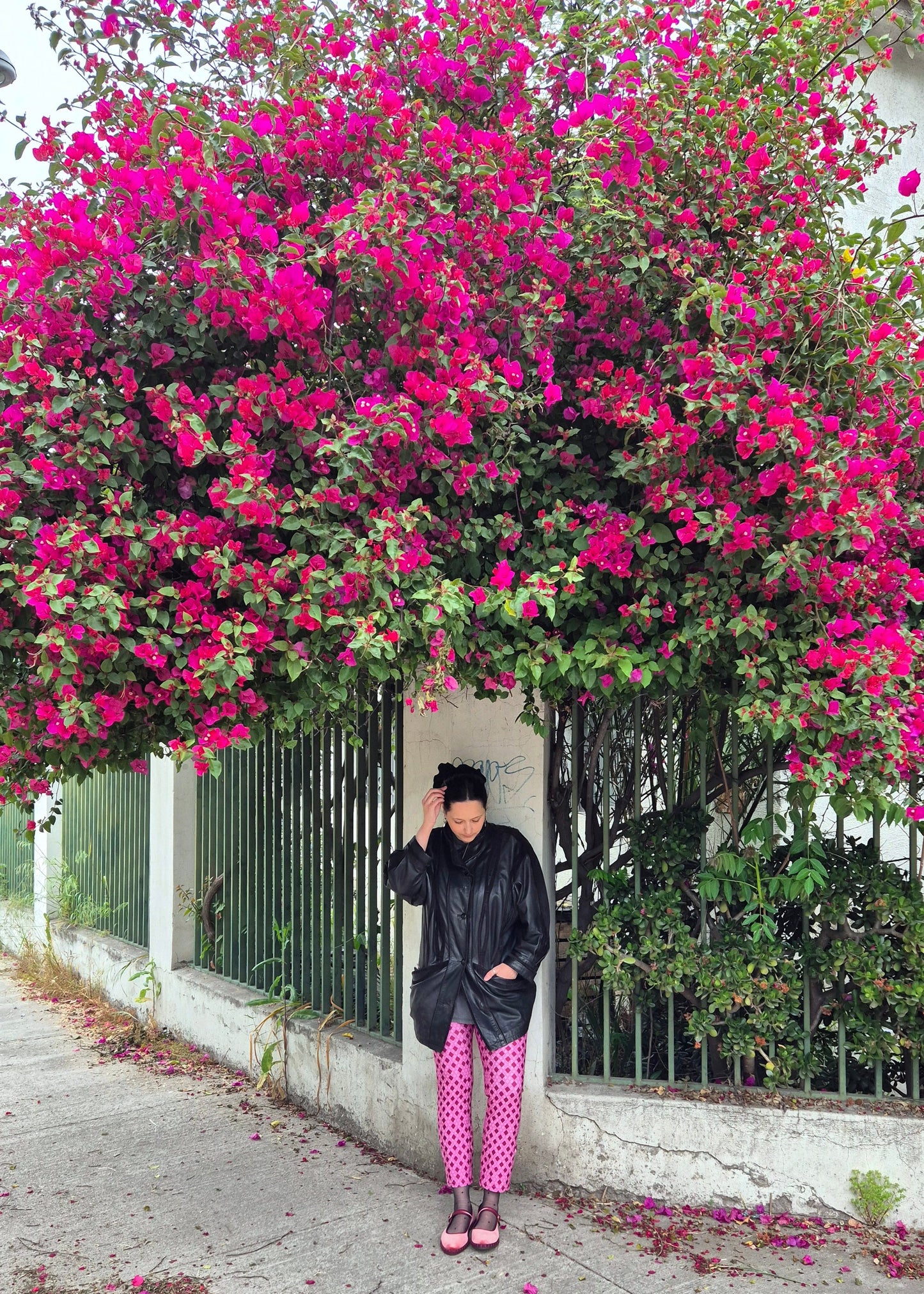 Patas rectas (estampadas)