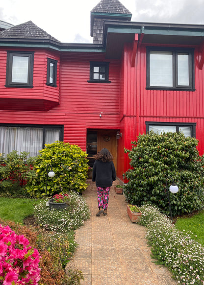 Patas rectas (estampados exclusivos)